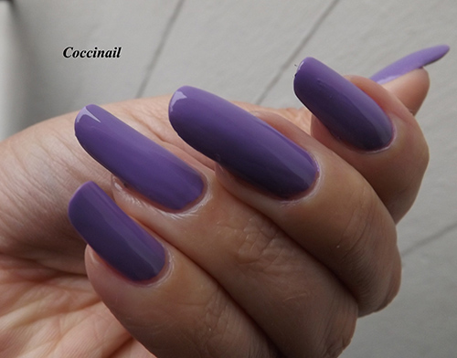 violet n°331 de Kiko